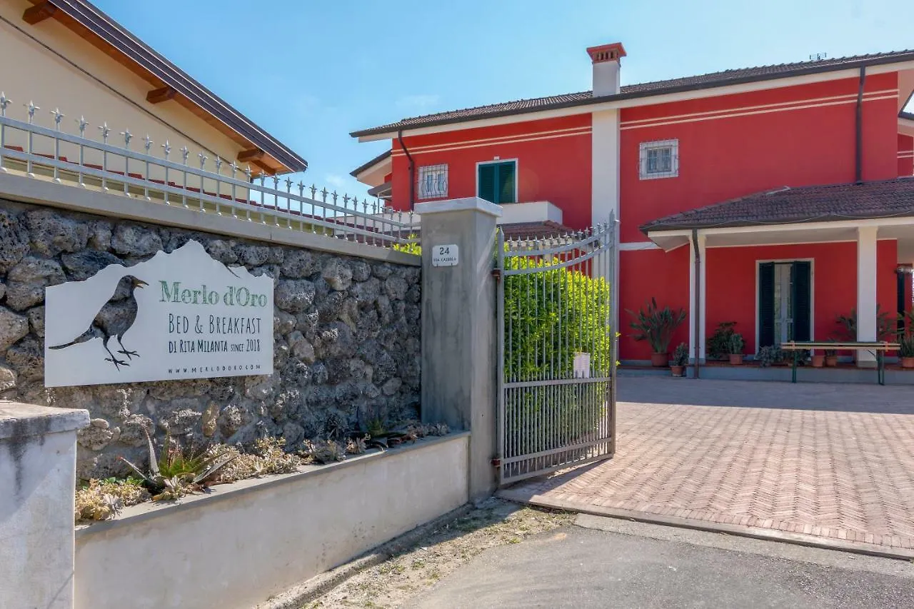 Merlo D'Oro Carrara